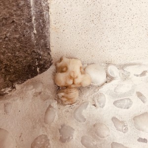 洗い出し床に隠れキャラ