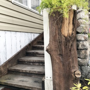 カフェ入口のモルタル造形・擬木