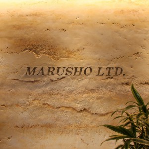 店舗ショールームの地層仕上げの壁