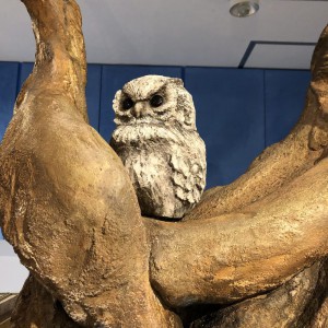 擬木とフクロウ